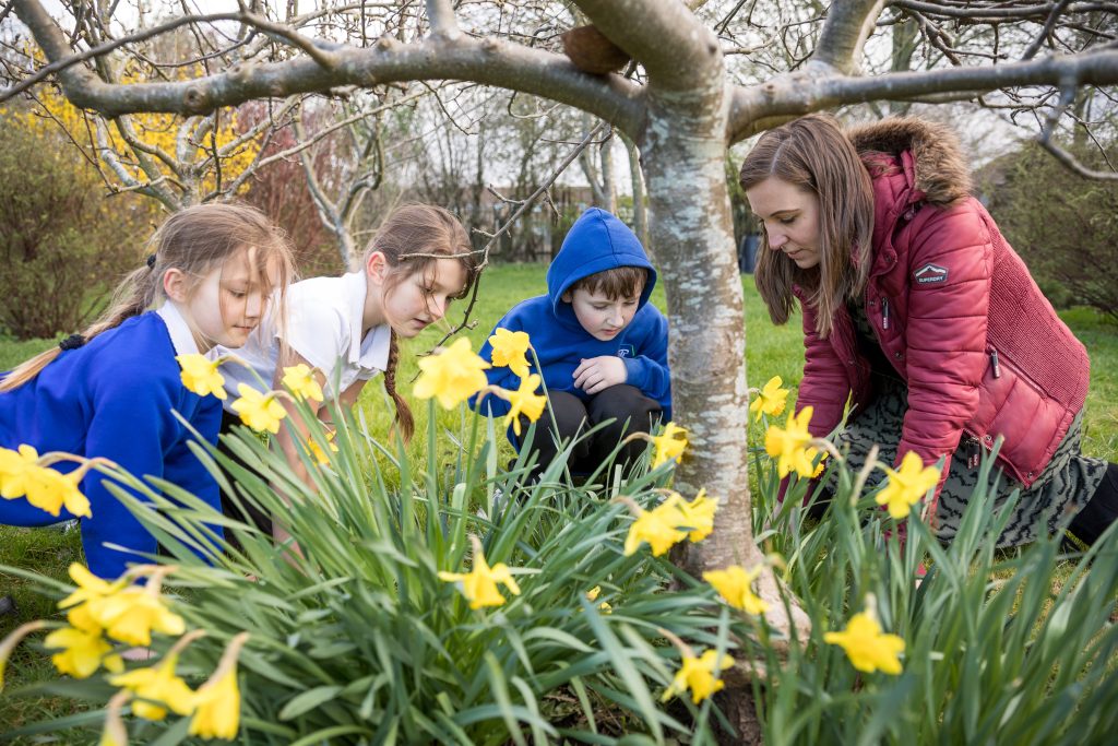 Children looking at daffodils